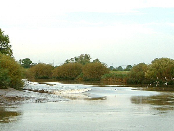 King Cnut & the Trent&nbsp;Aegir