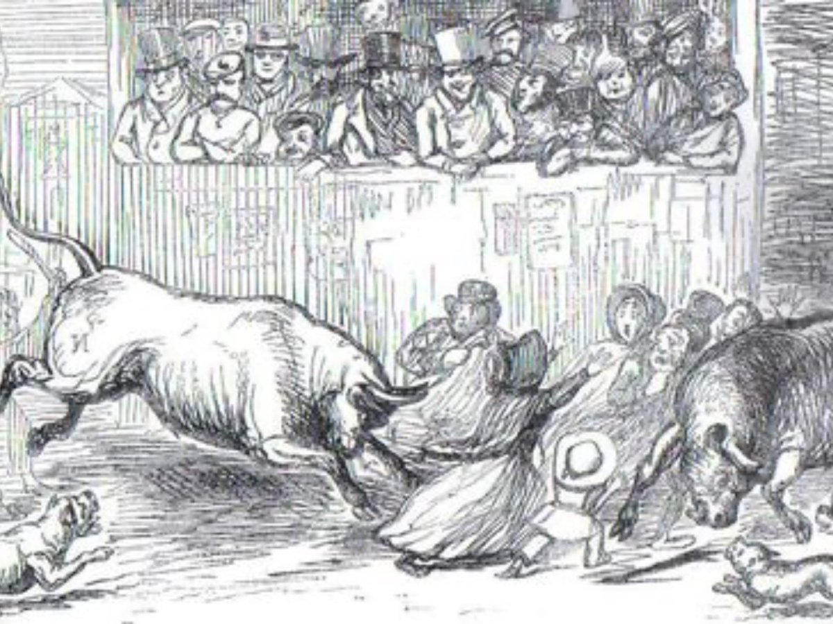 The Stamford Bull-run