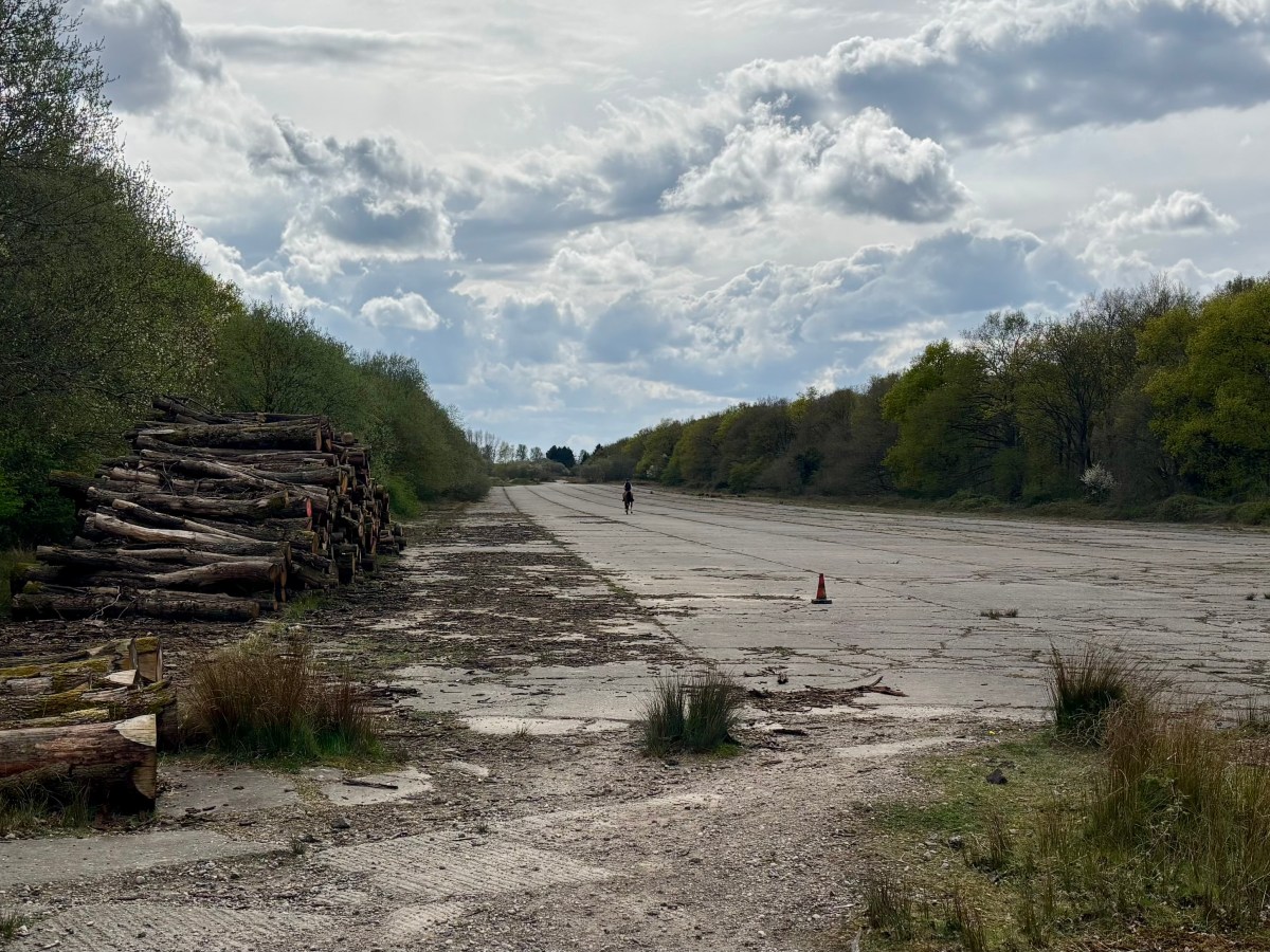 Twyford Wood (RAF North&nbsp;Witham)
